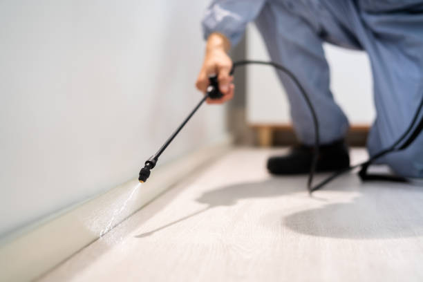Licensed Cockroach Control service in Norwich, CT - Nex Pest Control
