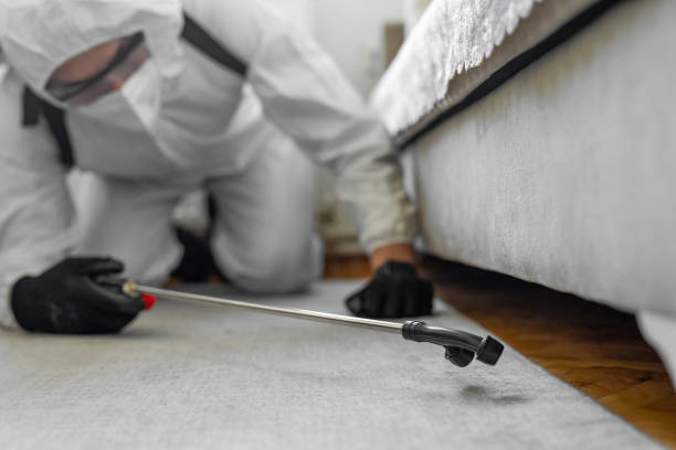 Professional Cockroach Control technician working in Norwich, CT