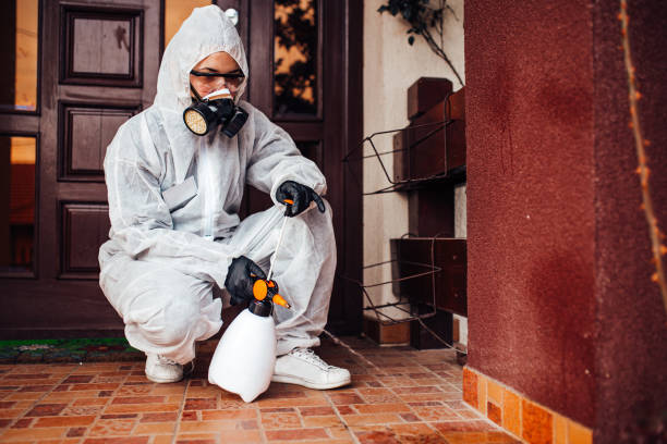 Reliable Cockroach Control contractor in Norwich, CT by Nex Pest Control